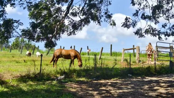Excursión de un día a Byron Bay en la Costa Dorada | Exploración del Lago Rojo Sangre + encuentro con adorables animales en la granja y viaje por la costa