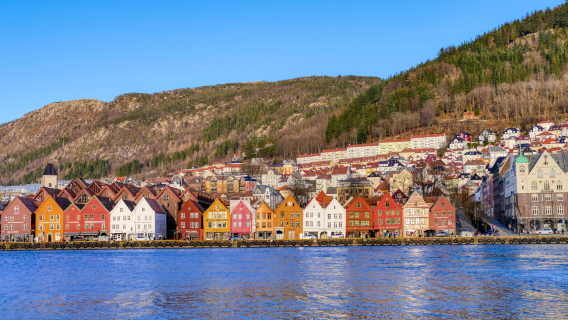 Norway Bergen sewaan peribadi lawatan sehari|Bryggen + Pasar Ikan Bergen + Kubu Bergen