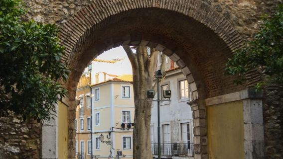 Lisbon: Graça Food & Wine Tour in Traditional Taverns