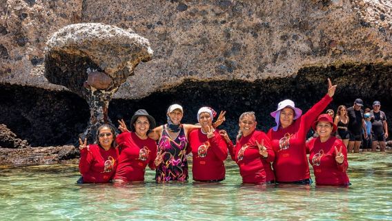 La Paz: All-Inclusive Tour of Espíritu Santo Island, Balandra, and Sea Lions
