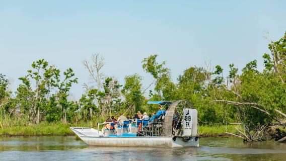 New Orleans: High Speed 9 Passenger Airboat Tour