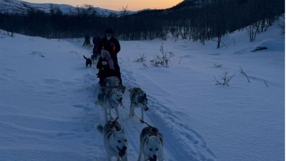 1 hr dog sledding experience in Tromso valley/30 min husky sledding experience