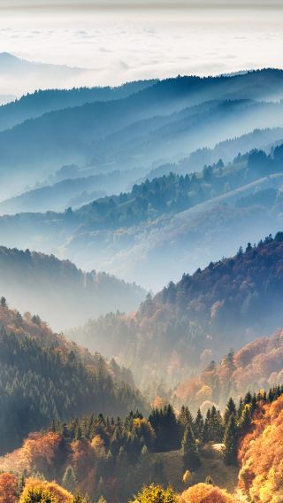 From Zurich: Black Forest & Rhine Falls Private Tour
