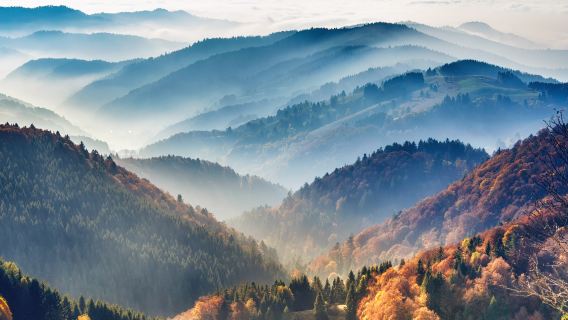 From Zurich: Black Forest & Rhine Falls Private Tour