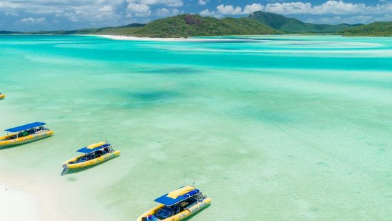 Islas Whitsunday: Vuelo de 1 hora + Tour guiado desde Airlie Beach + Snorkel