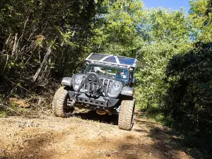 Small-Group Jeep Tour of Smoky Mountains Foothills Parkway