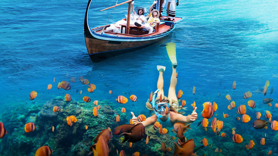 DumagueteTour Trong Ngày