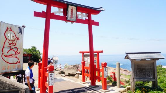 1-day tour of Mojiko Retro + Karato Fish Market + Tsunoshima Bridge + Motonosumi Shrine in Kitakyushu, Japan