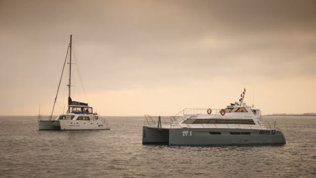 - 제주도 돌고래 관람 - 제주도 M1971 - 제주도 요트에서 돌고래 관람 - 제주도 출항하여 돌고래 관람 - 제주도 인기 명소 - 제주도 야생 돌고래 체험 - 제주도 요트
