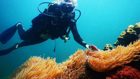 Phu Quoc IslandTours
