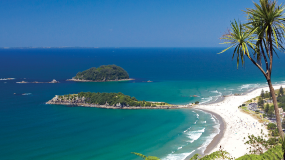 tour di un giorno al Parco nazionale Mount Aspiring e Arrowtown in Nuova Zelanda