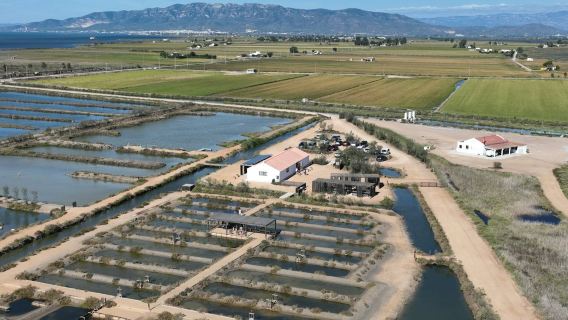 Guided visit to MónNatura Delta de l'Ebre