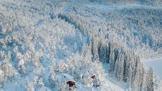 挪威特羅姆瑟-網紅-塞尼亞島+可週邊多日/包車【精選老司機】