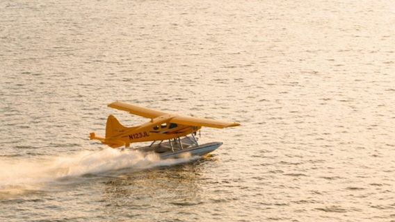 Mill ValleyTours