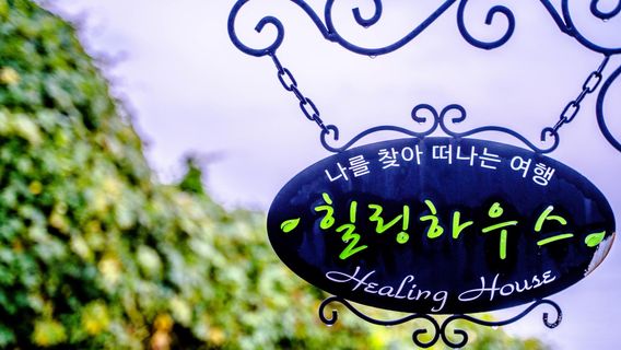 부산데이 투어
