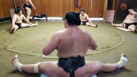 KyotoTours