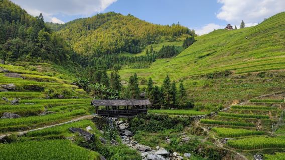 Tour Pravite: terrazze di riso di Longji, villaggi etnici Zhuang e Yao e riso in tubi di bambù.