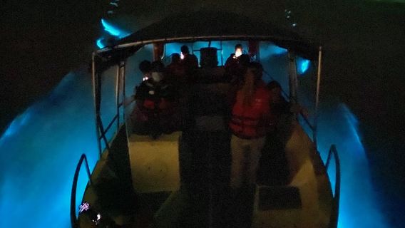 Blue Tears Experience with Boat Cruise at Kuala Selangor