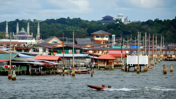 Croisière d'une demi-journée sur la [BRUNEI BAY] : Légendes de la baie (4 h)