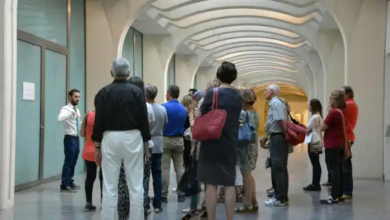 Palau de les Arts Reina Sofia: Entry Ticket + Guided Tour