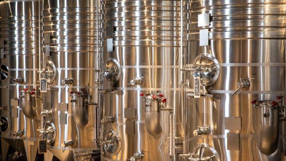 엑상프로방스 출발: 프로방스 반나절 와인 투어