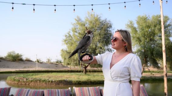 Dubai: Al Marmoom and Al Qudra Lakes Guided Tour with Dinner