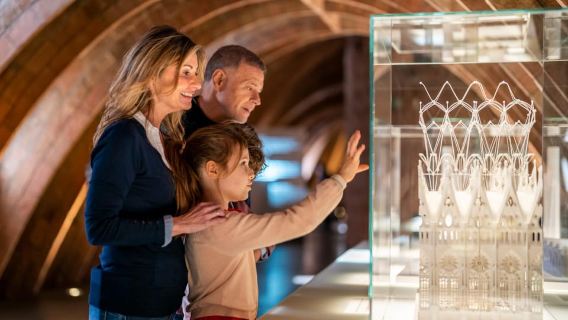 La Pedrera Premium: Exclusive Tour with Cava & Stunning View