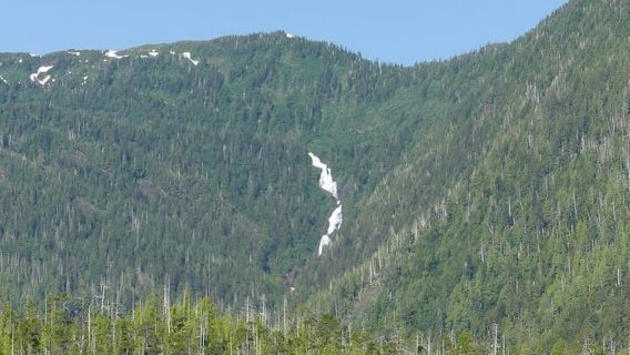 Ketchikan: giro panoramico e crociera in gommone nei fiordi di George Inlet