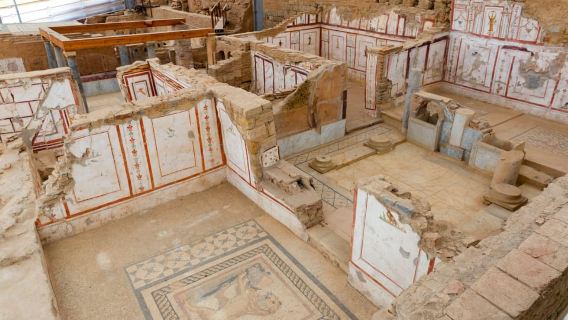 Recorrido de 3 horas por Éfeso y las casas adosadas (solo crucero por Kusadasi)