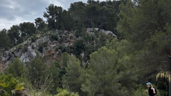 From Palma: Sierra de Tramuntana Hiking with small Picnic