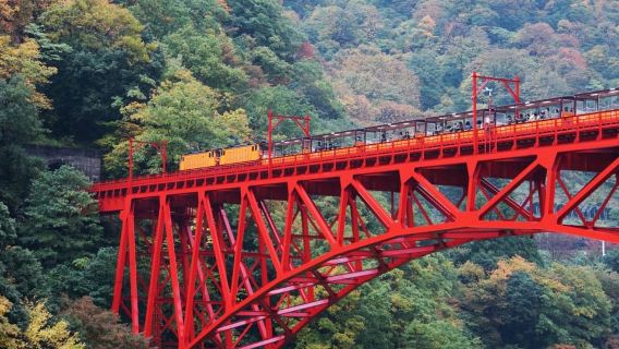 Dari Kanazawa: Tur Sehari Penuh Ngarai Kurobe & Onsen Unazuki