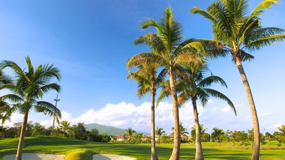 Pengalaman Golf di North Hills Golf Club|Chiang Mai