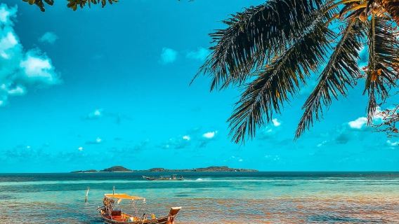 Ordina dopo la consultazione/Trasporto punto a punto per viaggi turistici con autista/ Servizio auto privata a Koh Samui, Spiaggia di Chaweng, Koh Nang Yuan, Spiaggia del Grande Buddha, Wat Na Thong, Spiaggia di Lamai/Aeroporto