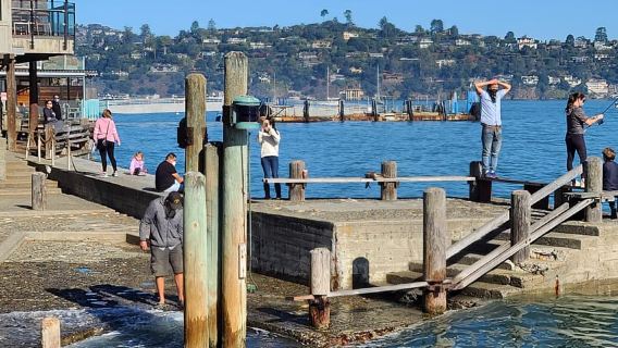 Muir Woods, Sausalito e traghetto per tornare a Fisherman's Wharf