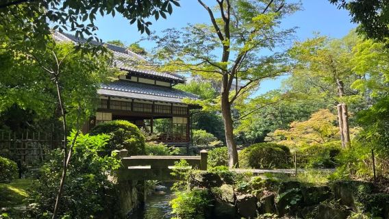 日本福岡市區網紅景點包車/可熊本別府綠牌5-14座包車-精選