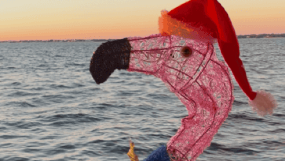 Punta Gorda: Holiday Lights Tiki Boat Cruise