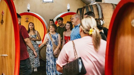 Dari Naples: Tur Mencicipi Anggur di Lereng Vesuvius dengan Makan Siang