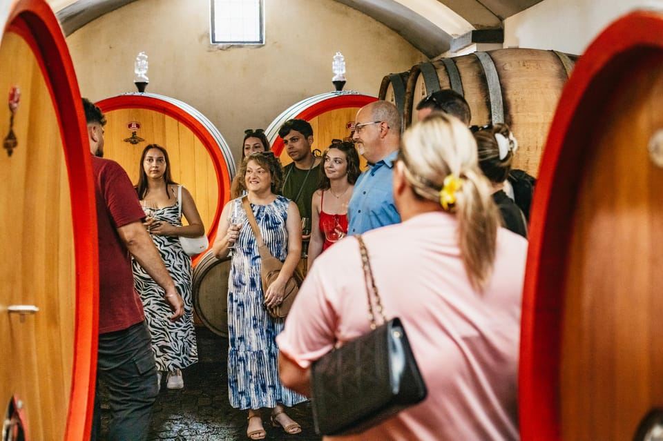 From Naples: Wine Tasting Tour on Vesuvius Slopes with Lunch