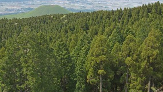 日本九州-福岡往返-熊本城-熊本熊廣場-水前寺成趣園-精品遊