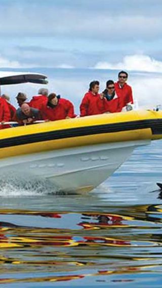 Hobart Bruny Island 1-day tour [3-hour speedboating | Optional meal included | English]