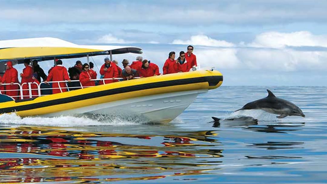 Hobart Bruny Island 1-day tour [3-hour speedboating | Optional meal included | English]