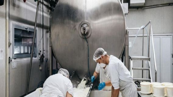 A journey into the Heart of Italy's Food Valley - Private Tour