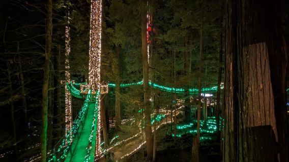 Tour di Halloween e autunno: Ponte di Capilano + Incubatoio di salmoni + 5 visite