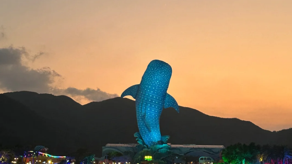 珠海長隆度假區·營地活動【2天1夜/3天2夜企鵝/橫琴灣/飛船/馬戲/迎海套票海洋王國】