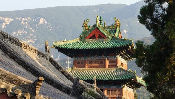 【登封少林寺汽車純玩一日遊】武術館+常住院+塔林（鄭州來回）
