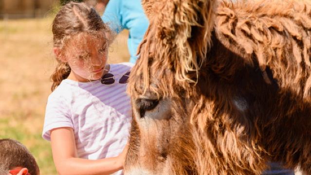 Marais Poitevin : Une journée de découverte sur les traces de Baudet