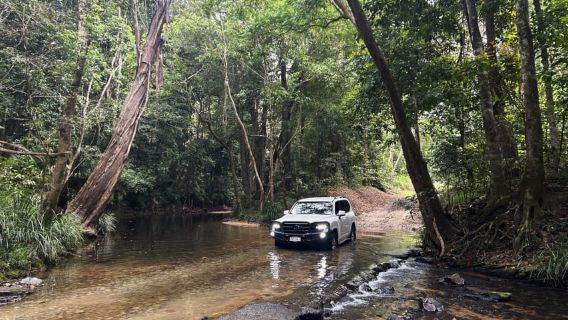 Cairns: Half-Day Premium 4WD Rainforest & Waterfall Tour