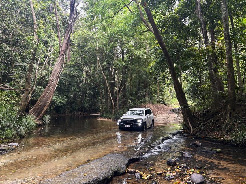 Cairns: Forest and Waterfalls Half-Day 4WD Guided Adventure