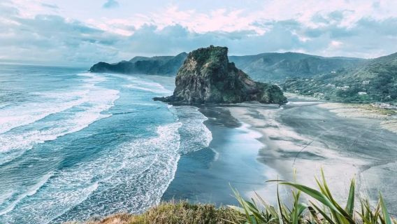 Auckland West Coast Exploration Tour in New Zealand