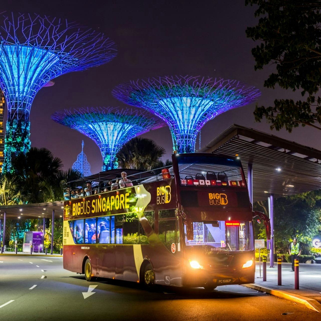 Big Bus Singapore: Night Tour by Open-Top Bus